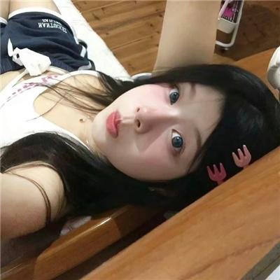 寻芳浪蝶